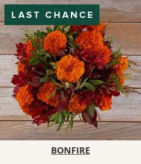 Flowers At a Great Price