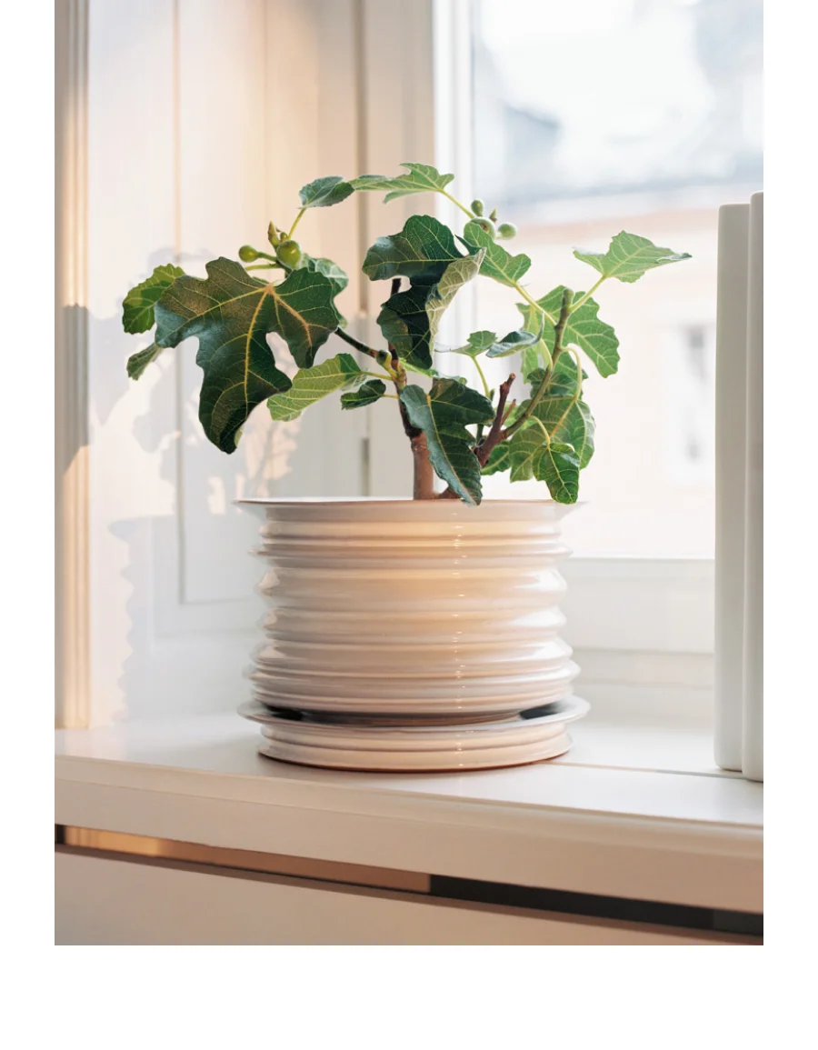 Pots image