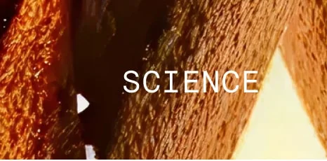 “SCIENCE” navigation text over a warm, textured brown-and-gold background.