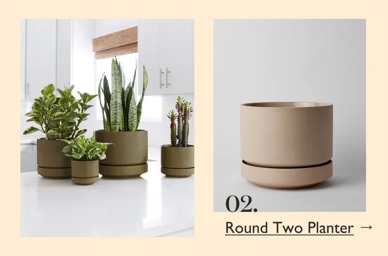 Shop Round Two Planter