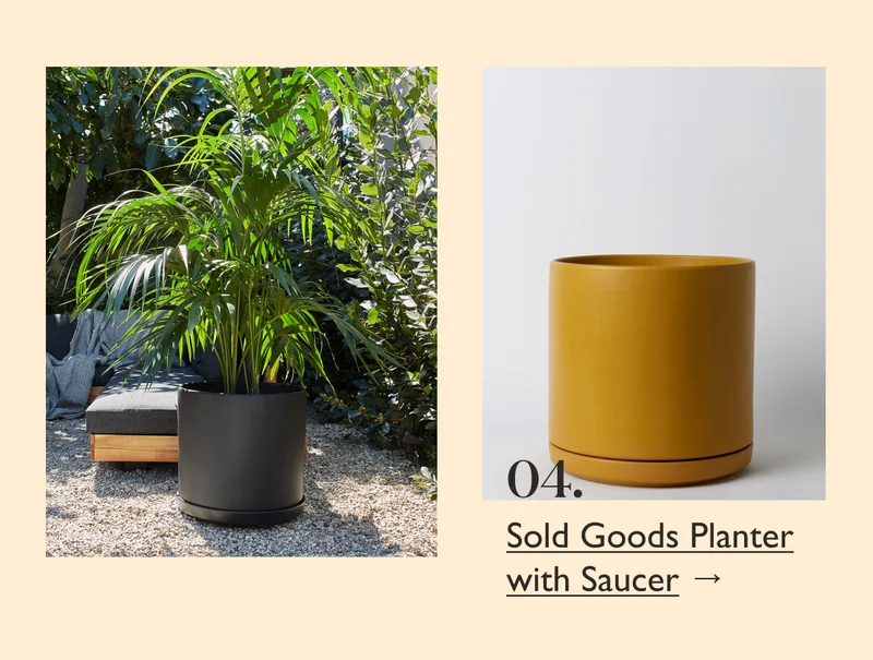 Shop Sold Goods Planter with Saucer
