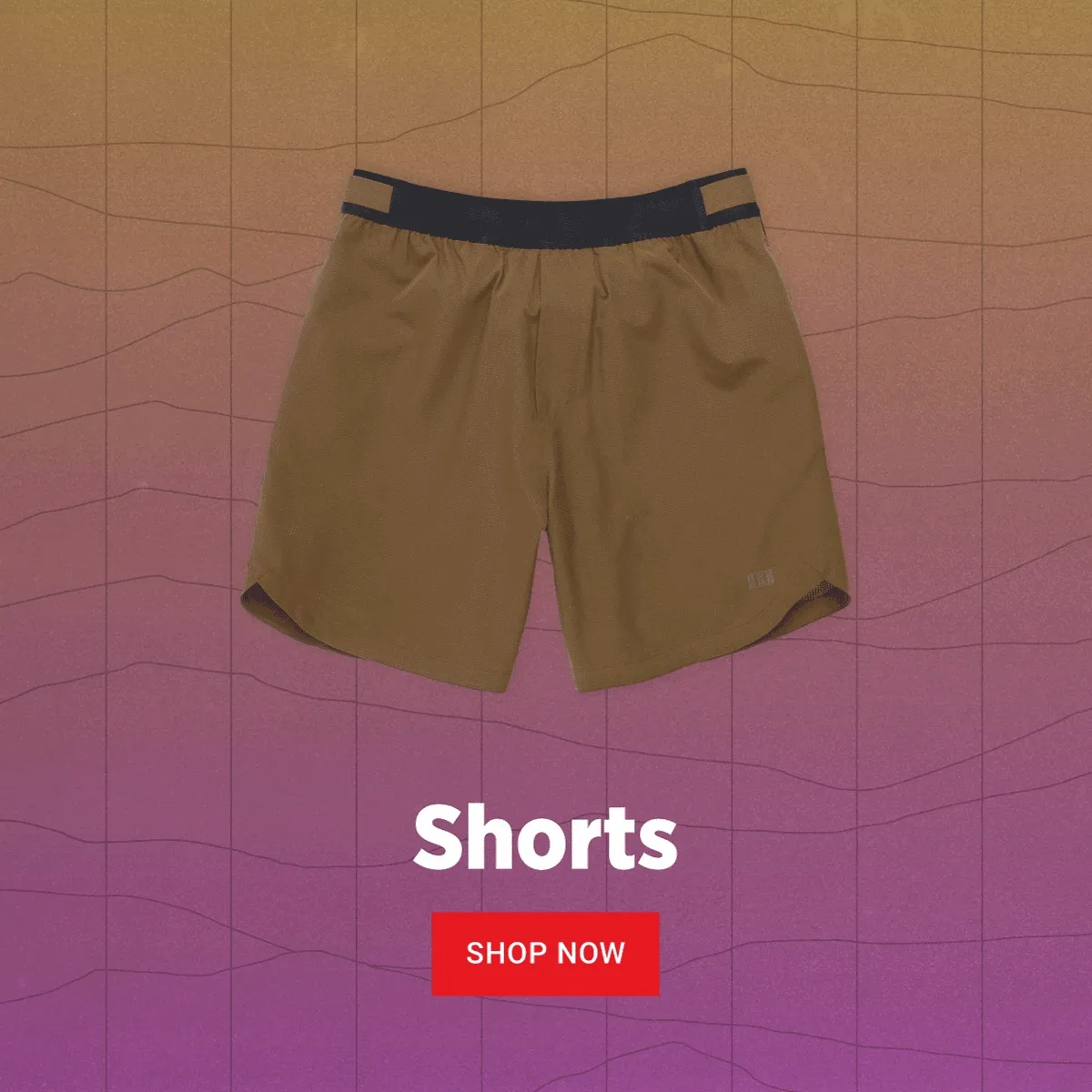 Spring Break Shorts