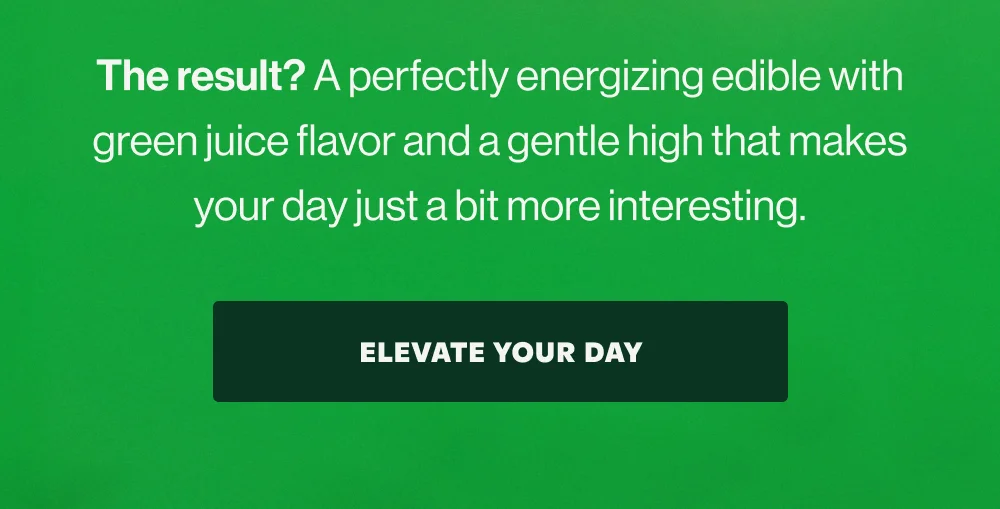 ELEVATE YOUR DAY