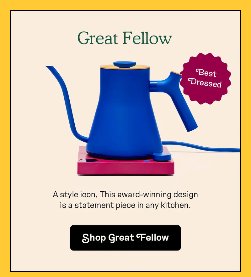 Great Fellow | Best Dressed | SHOP NOW