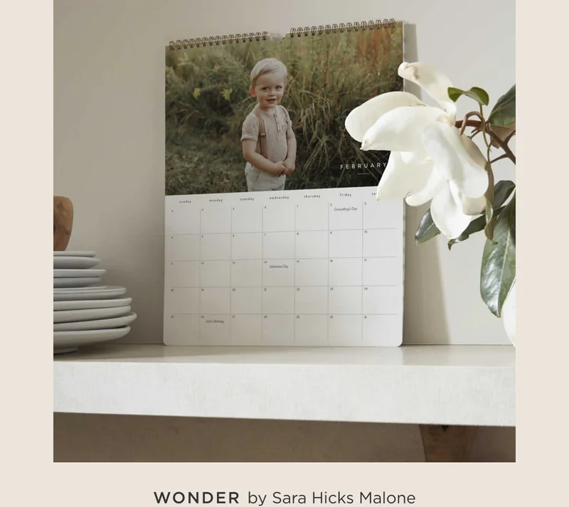 Wonder
