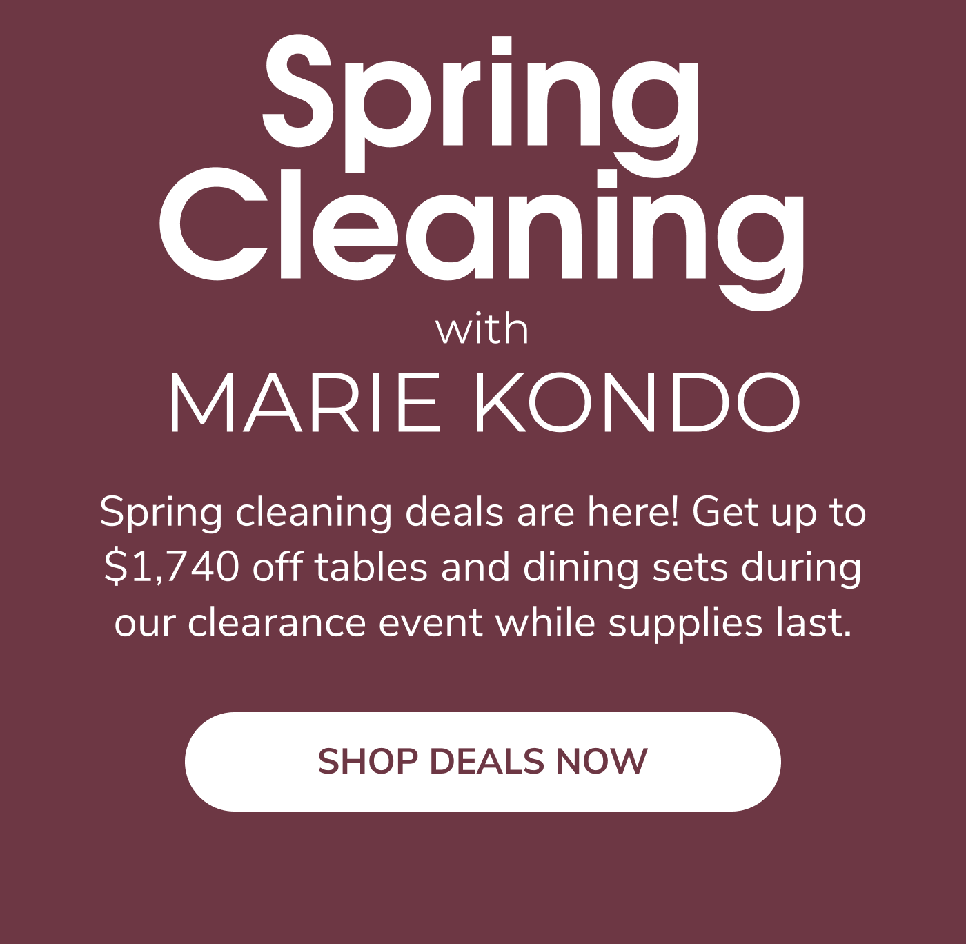 Spring Cleaning With Marie Kondo