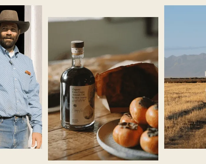 westbourne GIF