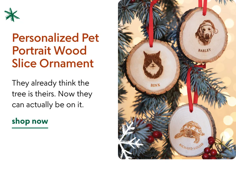 personalized-pet-portrait-wood-slice-ornament