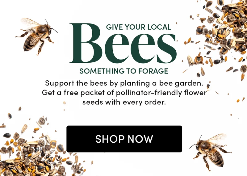 Give Your Local Bees  Something to Forage     Support the bees by planting a bee garden. Get a free packet of pollinator-friendly flower seeds with every order.