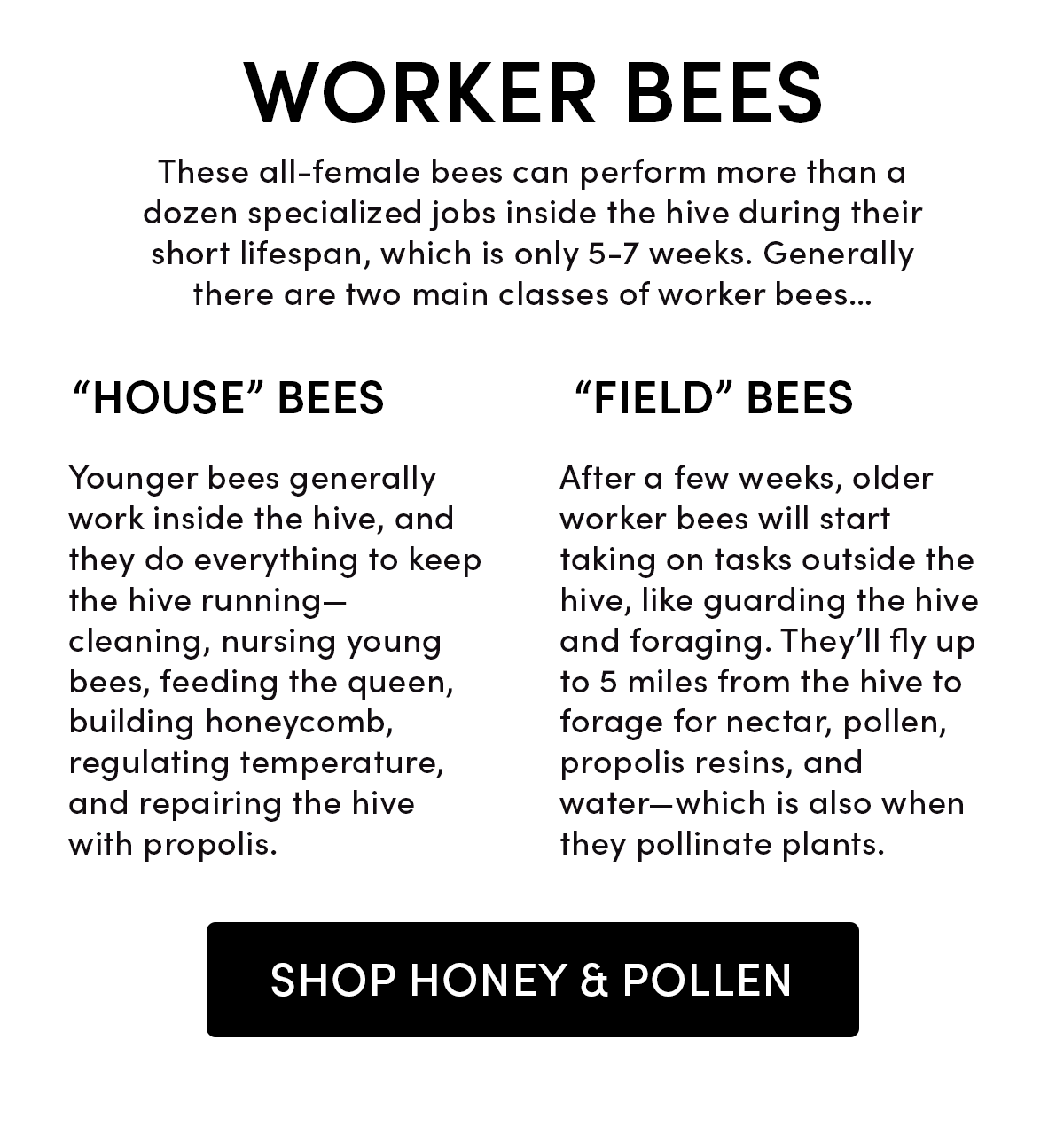 Queen Bee 101                    The queen bee’s only role is to produce eggs. She will lay an average of 1,500 eggs daily throughout her life.       She is so busy laying eggs that she needs attendants to do everything for her, including feeding her an exclusive diet of royal jelly.