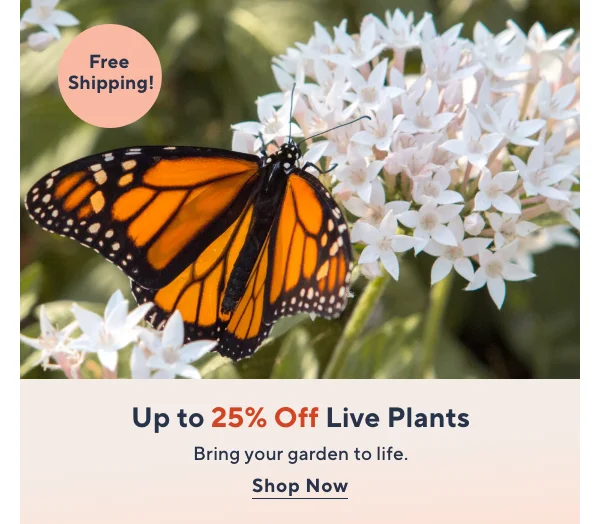 Up to 25% Off Live Plants