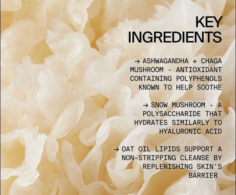 Key Ingredients