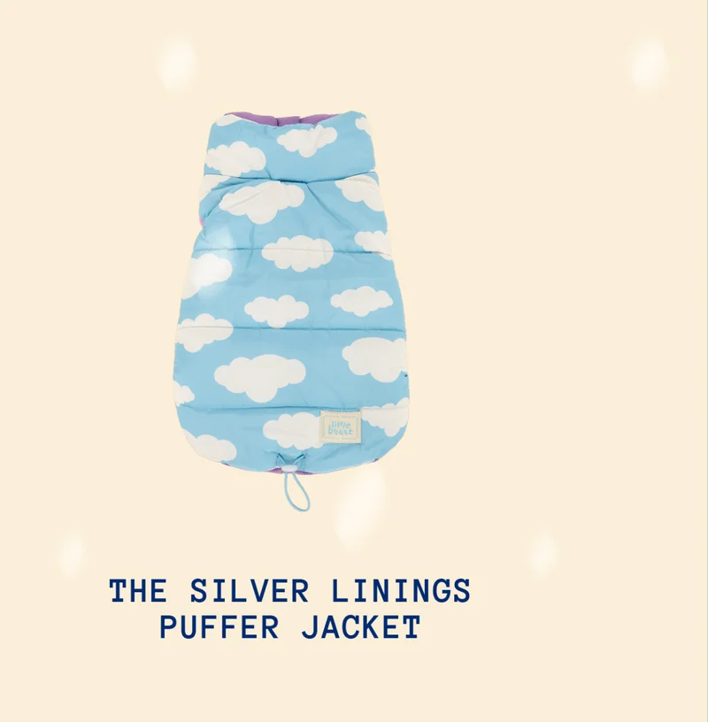 The Silver Linings Puffer Jacket