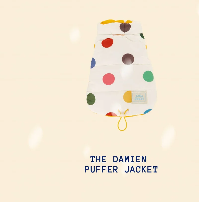The Damien Puffer Jacket