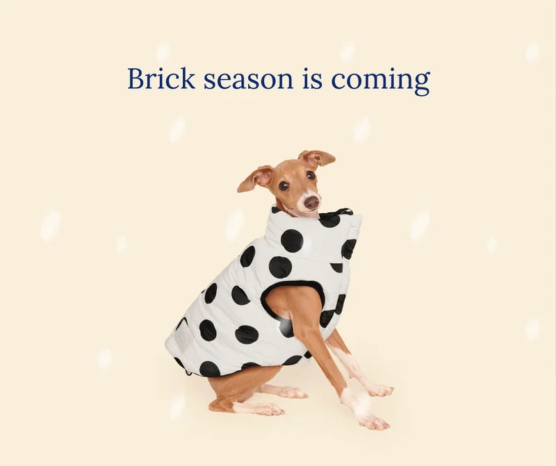 Midwinter Is Here