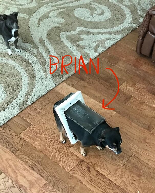 Brian