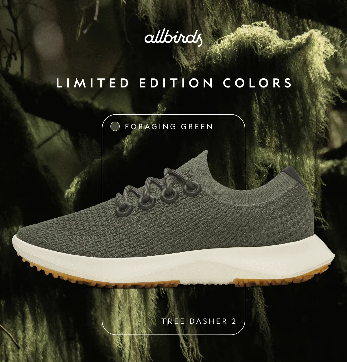 New Allbirds Limited Edition Colors