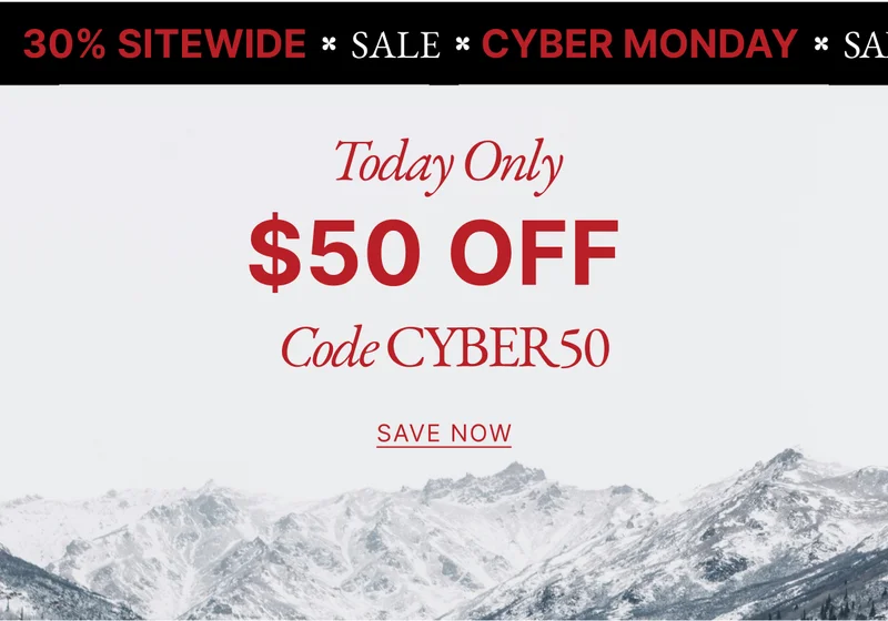 Black Friday Sale