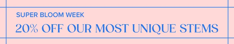 Super Bloom Week: 20% OFF OUR MOST UNIQUE STEMS! Use code BLOOM