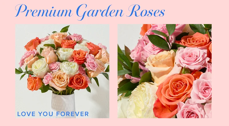 Premium Garden Roses! Featured Bouq: Love You Forever