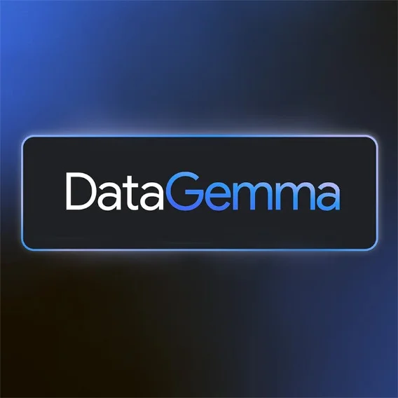 Illustration of a blue box with the phrase 'DataGemma'embedded