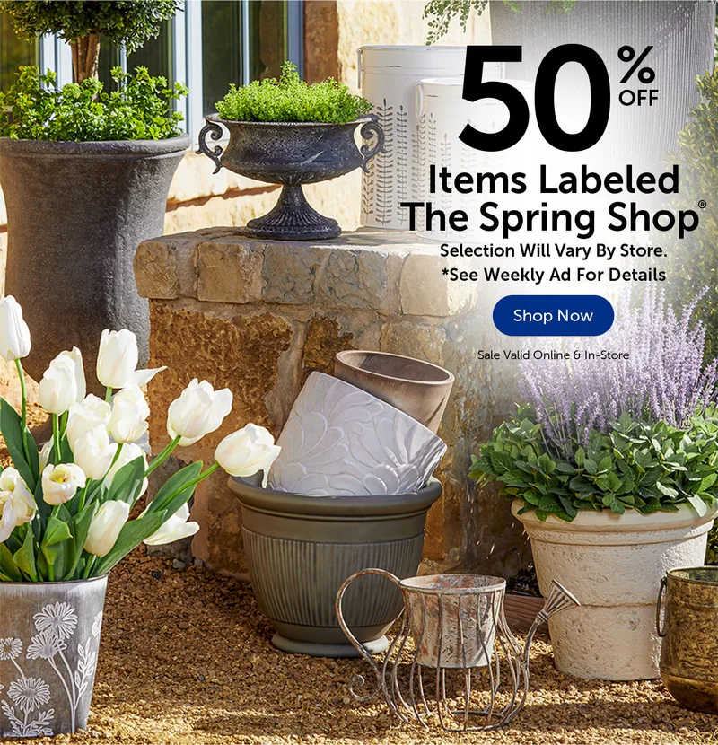50% Off Items Labeled The Spring Shop