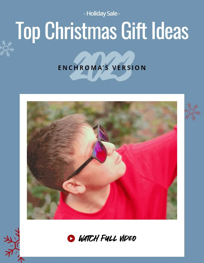 Top Christmas Gift Ideas (EnChroma's Version). Watch Full Video