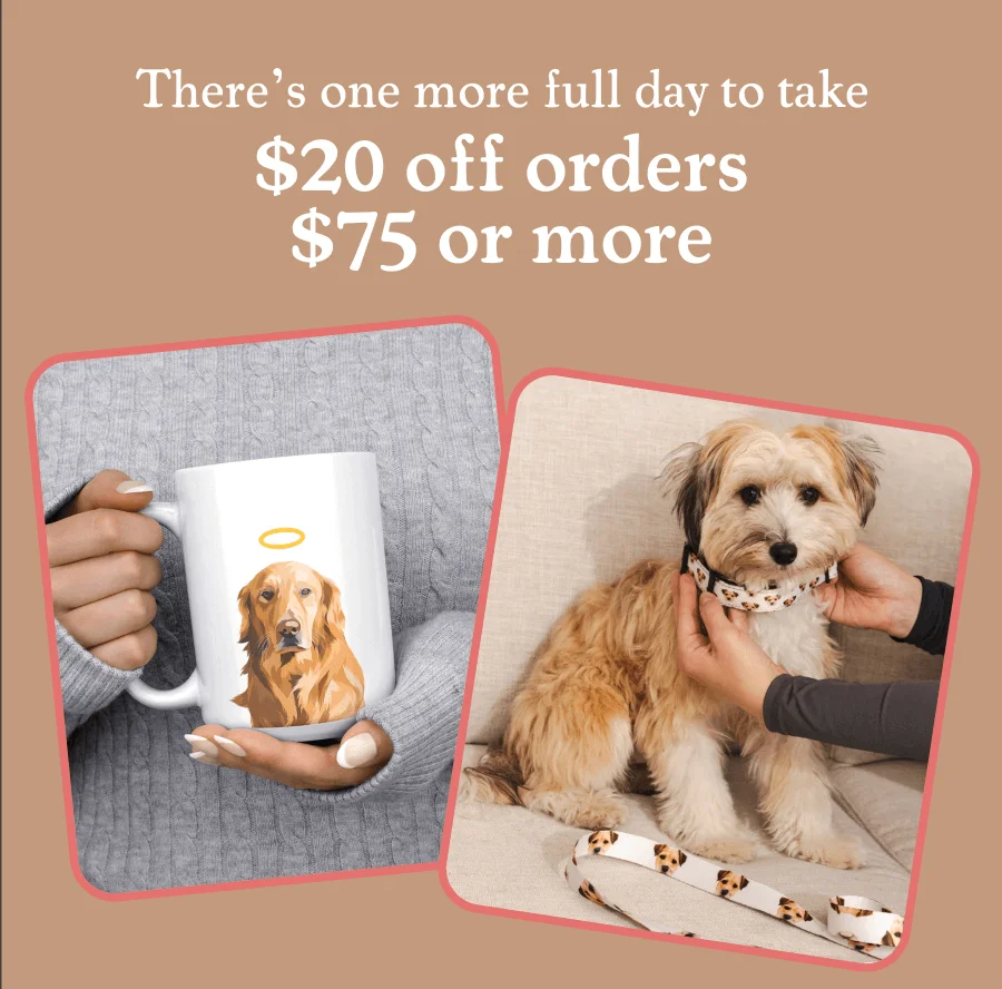 $20 Off $75