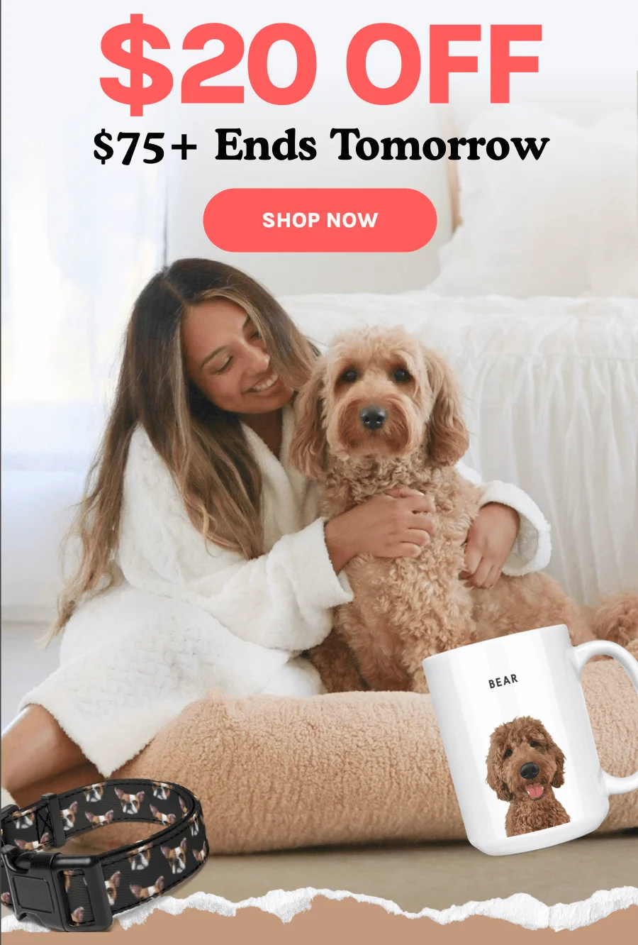 Shop Now