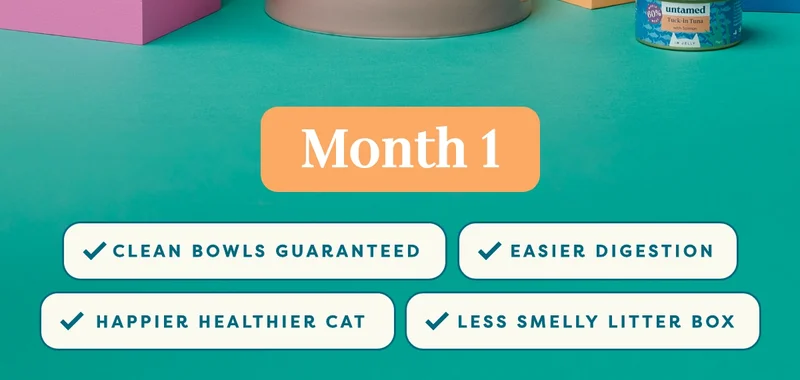 Month 1