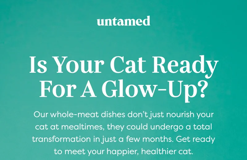 Is your cat ready for a glow-up?