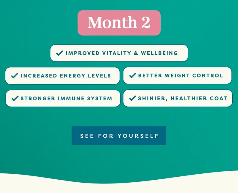 Month 2