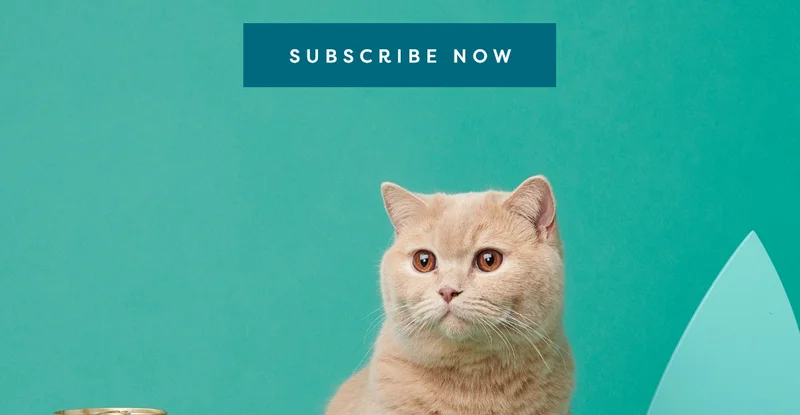 Subscribe now
