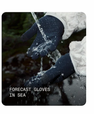 Forecast Gloves in Sea