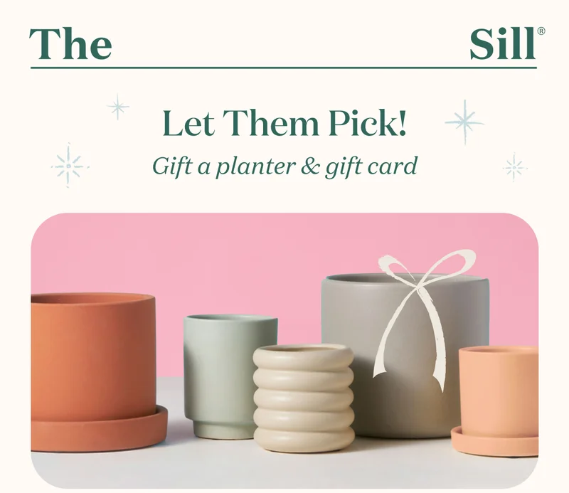 Gift a Planter + Gift Card this holiday season!