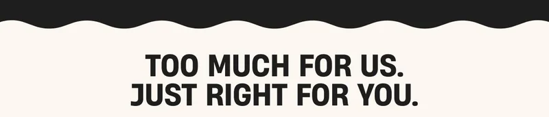 Too much for us, Just right for you.