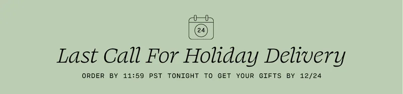 HolidayDelivery