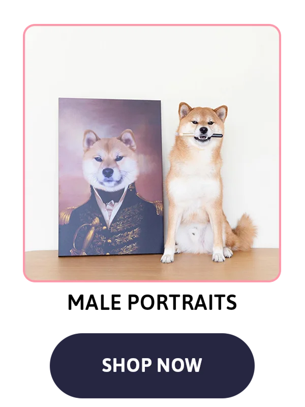 Shop Male Portraits