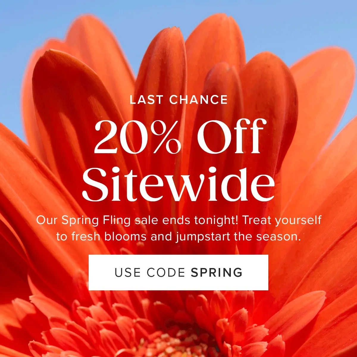 Last Chance for 20% Off Sitewide. Our Spring Fling Sale ends tonight! Treat yourself to fresh blooms and jumpstart the season. USE CODE SPRING