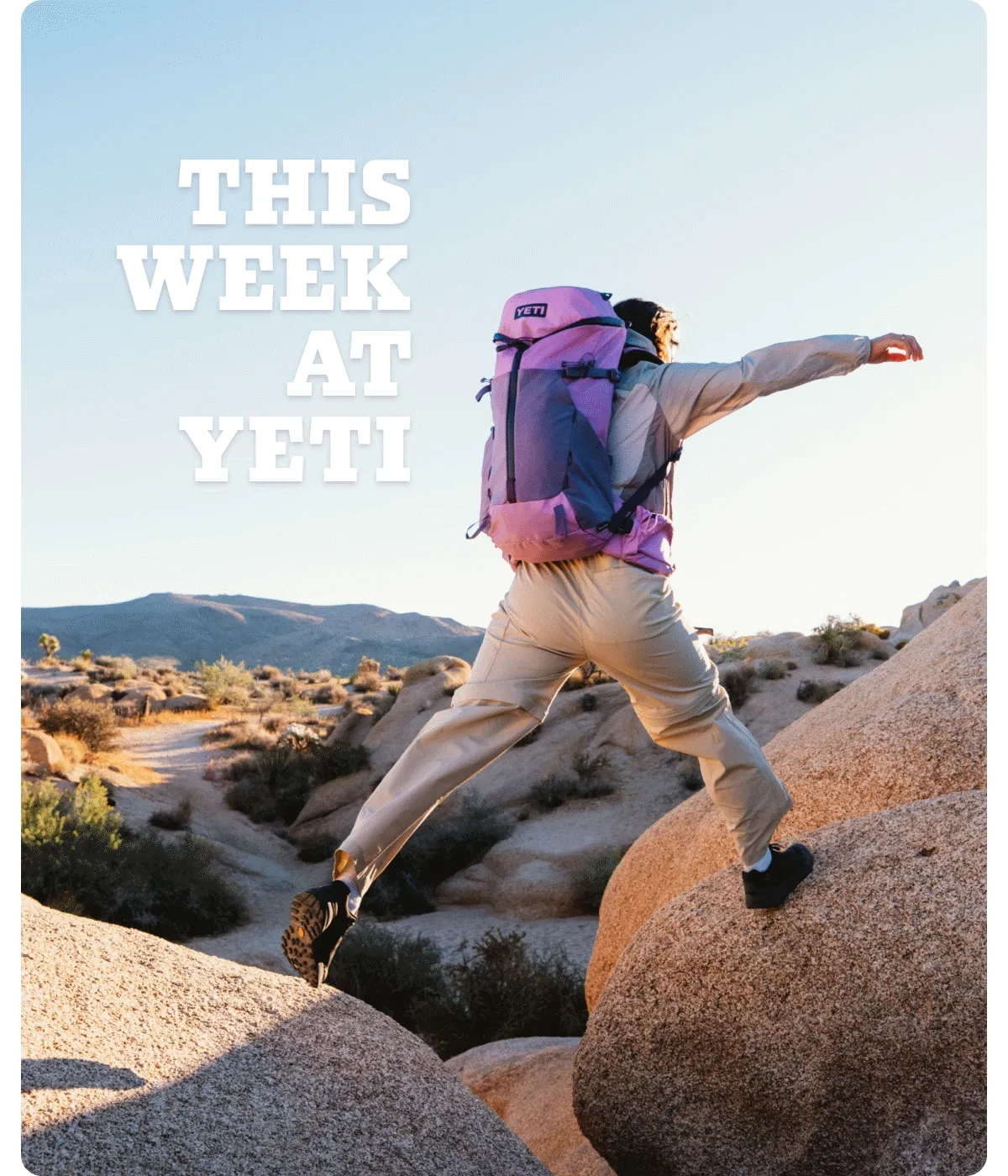This Week At YETI