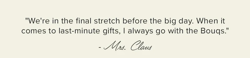 "We're in the final stretch before the big day. When it | comes to last-minute gifts, | always go with the Bougs." - Mrs. Claus