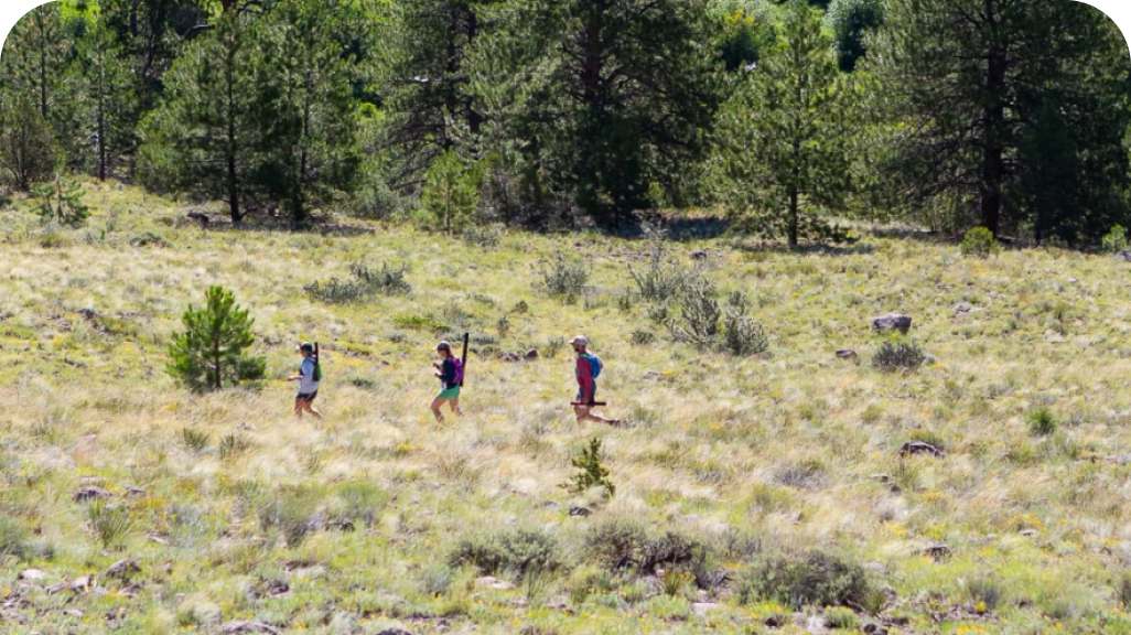 Three people running on a trail.