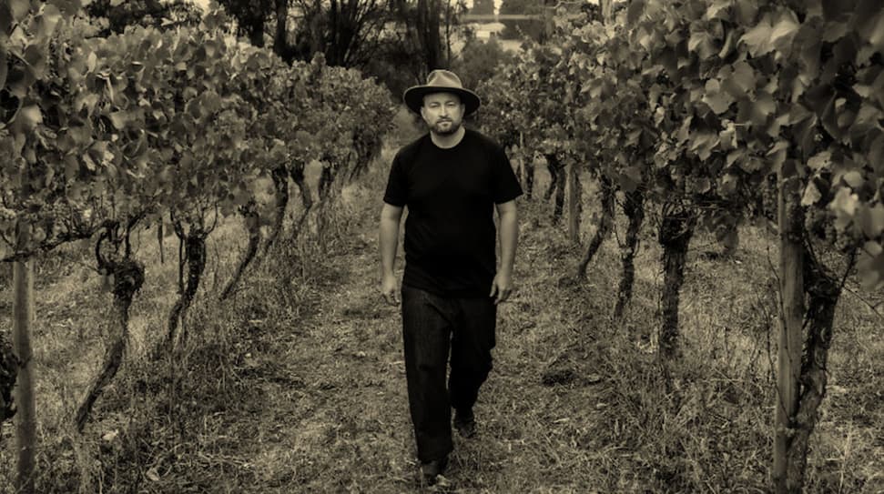 Patrick Sullivan walking in the vineyard
