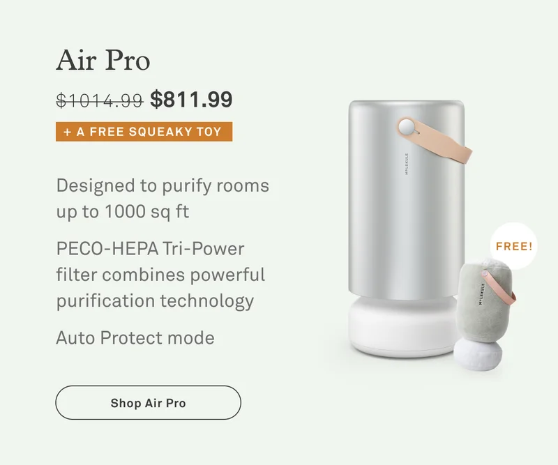 Air Pro