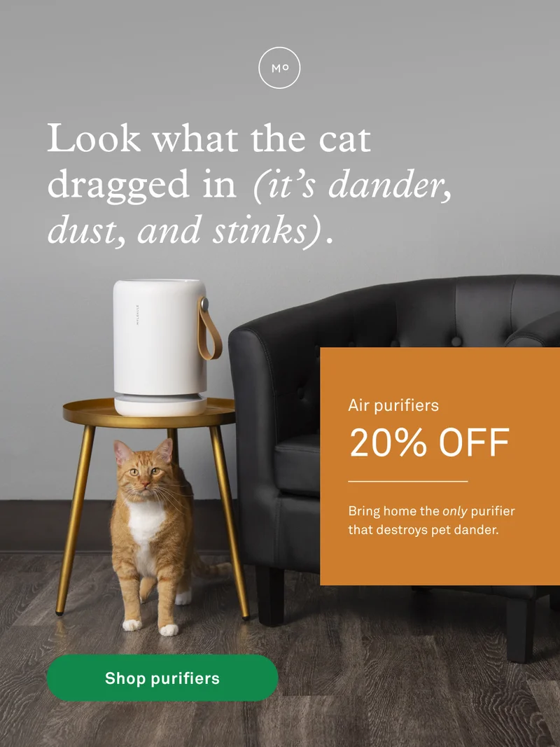 Take 20% off air purifiers
