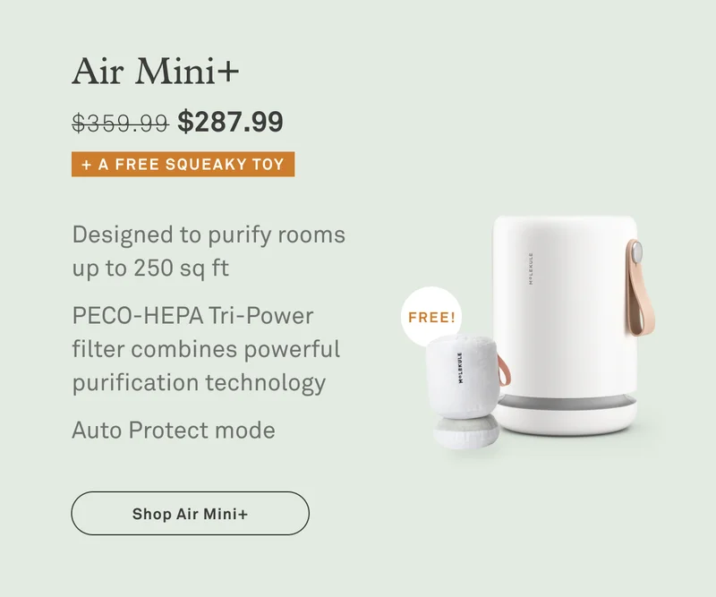 Air Mini+