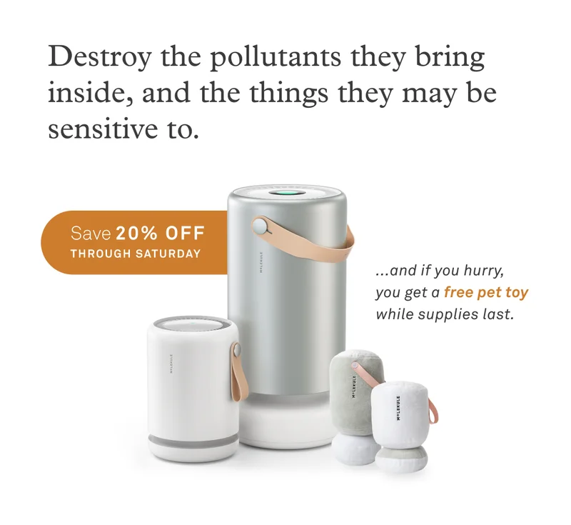 Save 20% off through Saturday + get a free pet toy
