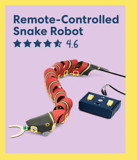 Remote-Controlled Snake Robot
