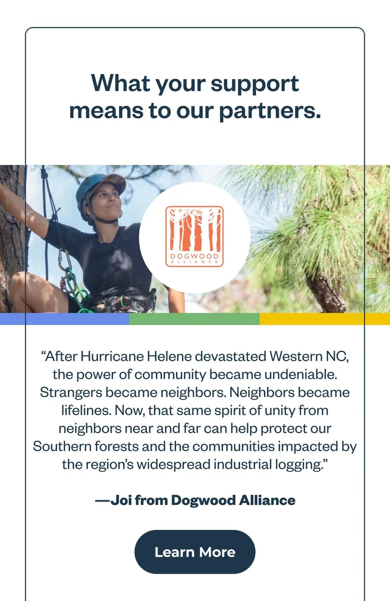 Quote from Joi at Dogwood Alliance: After Hurricane Helene devastated Western NC, the power of community became undeniable. Strangers became neighbors. Neighbors became lifelines. Now, that same spirit of unity from neighbors near and far can help protect our Southern forests and the communities impacted by the region's widespread industrial logging.
