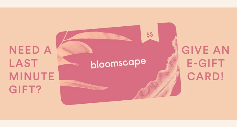 buy an e-gift card